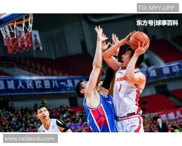 CBA最新消息：新秀球员表现惊艳