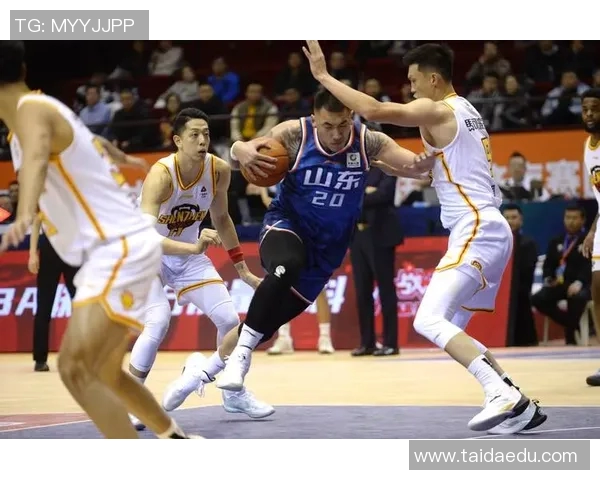 CBA球队赛季阵容调整及战绩影响