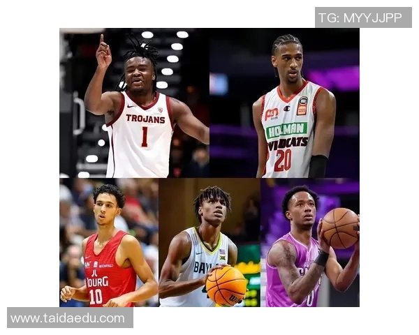 NBA新秀表现评估及未来发展预测